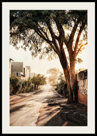 Affiche avec une photo d'une rue dans la lumière du matin-2