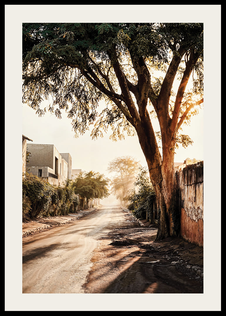 Affiche avec une photo d'une rue dans la lumière du matin-12