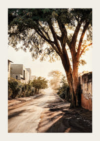 Affiche avec une photo d'une rue dans la lumière du matin-3