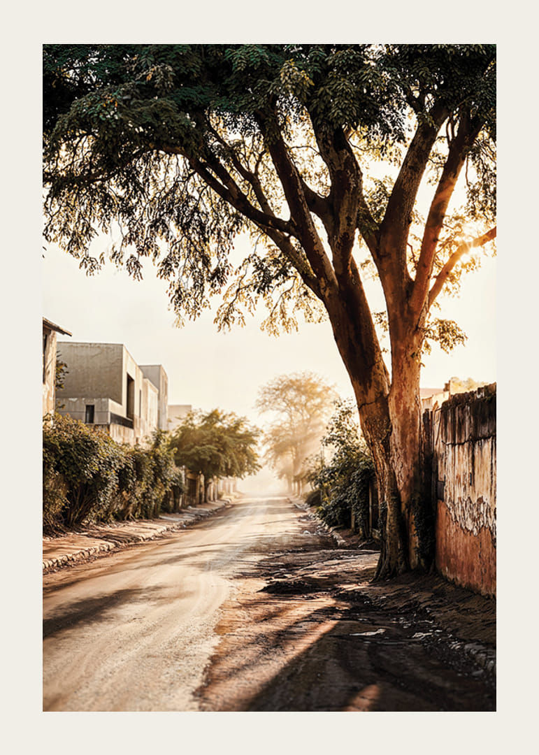 Affiche avec une photo d'une rue dans la lumière du matin-12