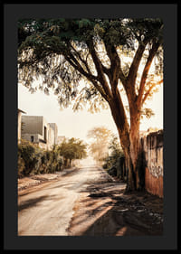 Affiche avec une photo d'une rue dans la lumière du matin-4