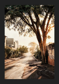 Affiche avec une photo d'une rue dans la lumière du matin-5