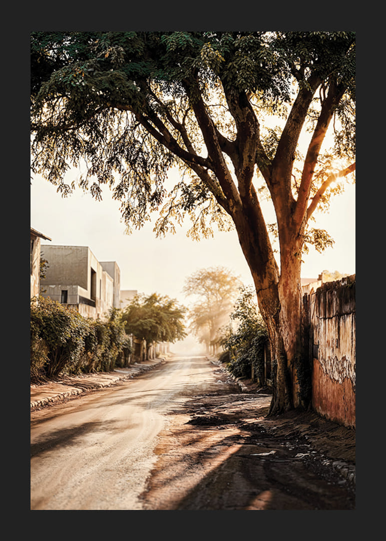 Affiche avec une photo d'une rue dans la lumière du matin-12