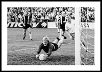 Ronnie Hellström 02 Hammarby IF 1971-2