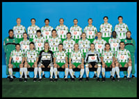 2001 Lagbild Allsvenskan Hammarby IF-4