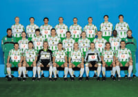 2001 Lagbild Allsvenskan Hammarby IF-5