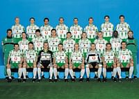 2001 Lagbild Allsvenskan Hammarby IF-3