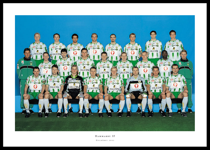 2001 Lagbild Allsvenskan Hammarby IF-12