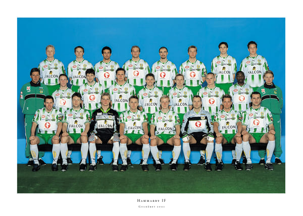 Poster 2001 Lagbild Allsvenskan Hammarby IF