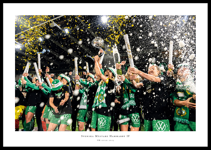 2023 Svenska Mästare Hammarby IF-12