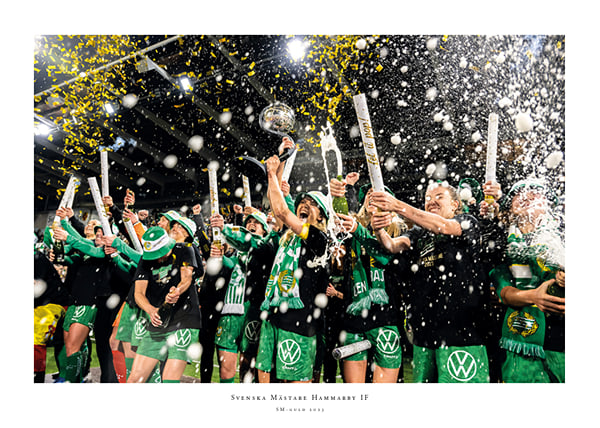 Poster 2023 Svenska Mästare Hammarby IF