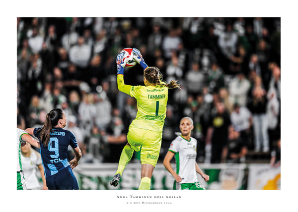 Poster 2024 Anna Tamminen Hammarby IF