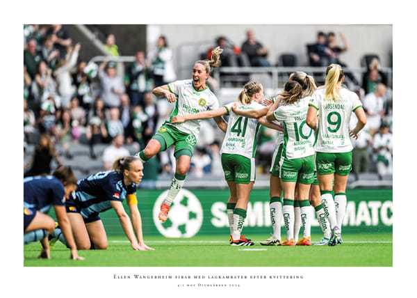 Poster 2024 Ellen Wangerheim Hammarby IF