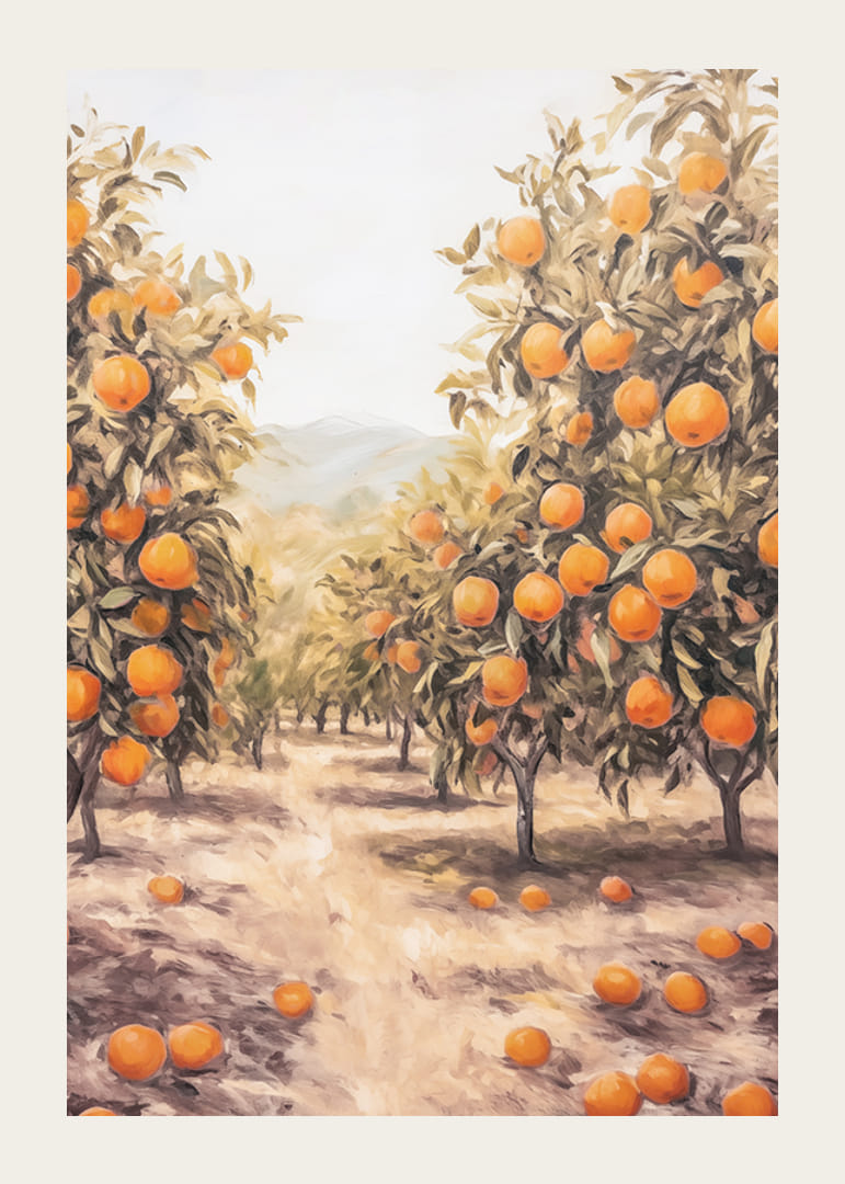 A sunny poster depicting a lush orange grove, filled with ripe fruit -12
