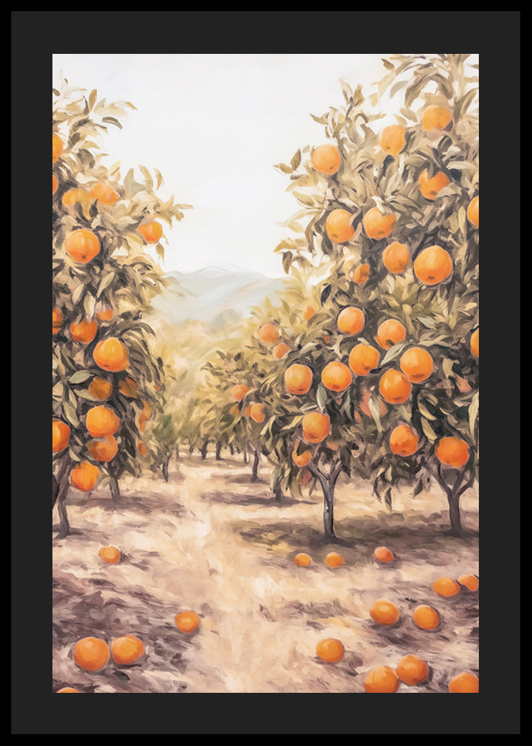 A sunny poster depicting a lush orange grove, filled with ripe fruit -12
