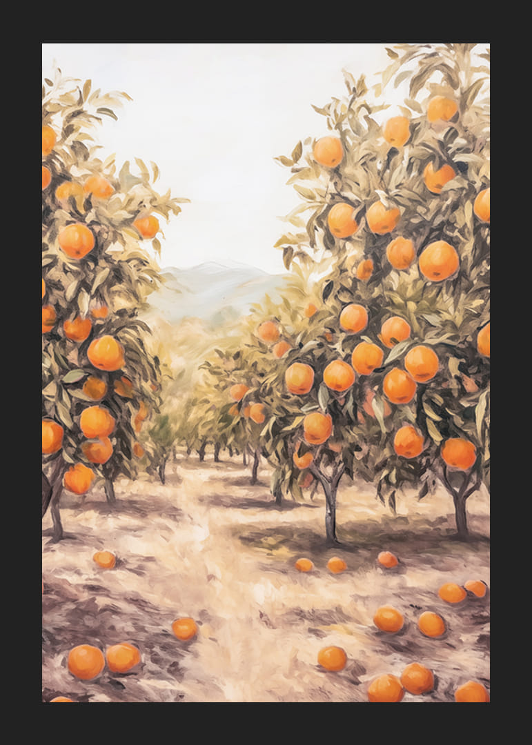 A sunny poster depicting a lush orange grove, filled with ripe fruit -12