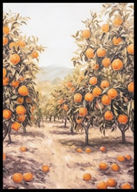 A sunny poster depicting a lush orange grove, filled with ripe fruit -6
