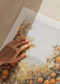 A sunny poster depicting a lush orange grove, filled with ripe fruit -9