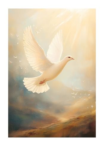 Plakat Wings Of Peace