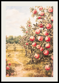 A poster depicting a sunlit apple orchard filled with ripe apples and an inviting path-2