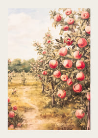 A poster depicting a sunlit apple orchard filled with ripe apples and an inviting path-3