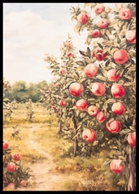 A poster depicting a sunlit apple orchard filled with ripe apples and an inviting path-6