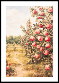 A poster depicting a sunlit apple orchard filled with ripe apples and an inviting path-0