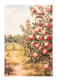 A poster depicting a sunlit apple orchard filled with ripe apples and an inviting path-1