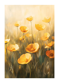 A poster of golden poppy flowers in soft sunshine -1