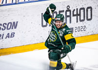 Kapten Andersson IF Björklöven-5