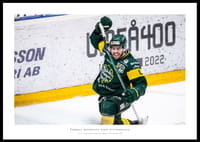 Kapten Andersson IF Björklöven-0