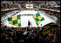Ståplats H IF Björklöven-4