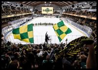 Ståplats H IF Björklöven-2