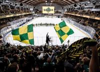 Ståplats H IF Björklöven-3