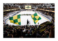 Ståplats H IF Björklöven-3