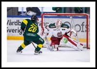 Friläge No3 IF Björklöven-0