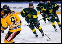 Framåt IF Björklöven-2