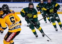 Framåt IF Björklöven-3