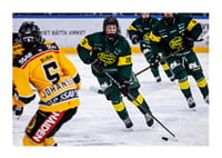 Framåt IF Björklöven-3