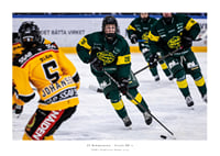 Framåt IF Björklöven-1