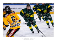 Framåt IF Björklöven-1