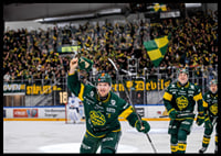 Axel Ottosson Björklöven-4