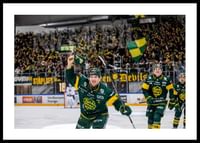 Måljubel IF Björklöven-0