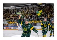 Måljubel IF Björklöven-1