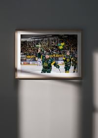 Måljubel IF Björklöven-4