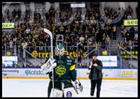 Melker Thelin IF Björklöven-4