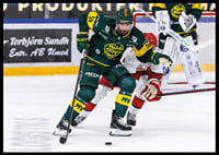 Tim Theocharidis Björklöven-4