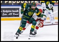 Matchbild IF Björklöven-2