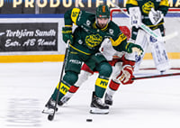 Tim Theocharidis Björklöven-5