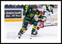 Matchbild IF Björklöven-0